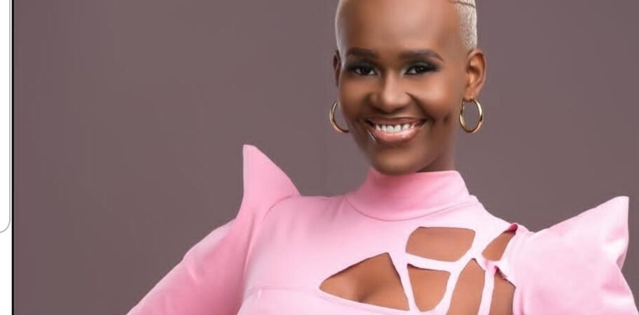 10 Facts about Singer Omega 256